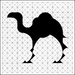 Camel by Jesse Kuhn