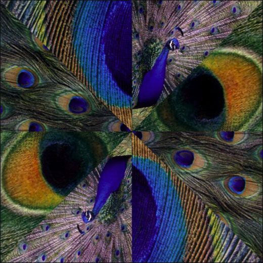 Mindy Mellenbruch Pattern Collage